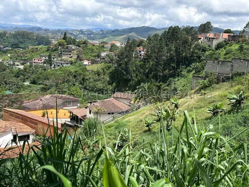 View 9