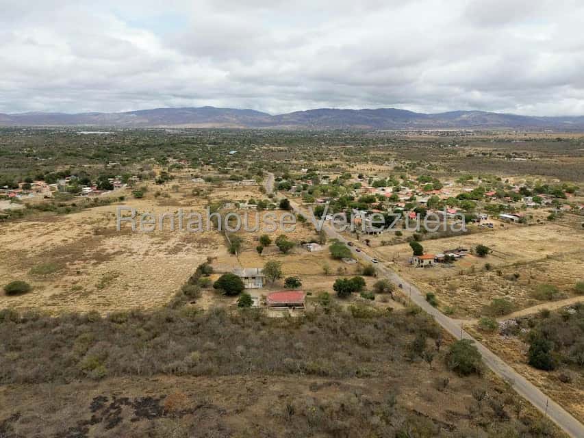 View 19