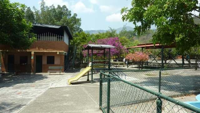 Vista 21