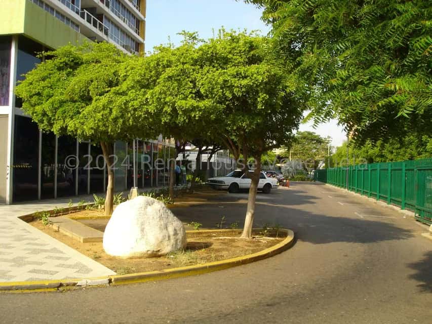 View 24