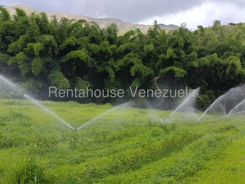Vista 7