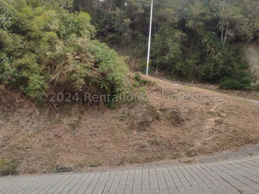 Vista 1