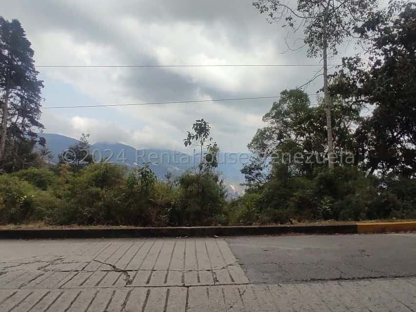 Vista 19