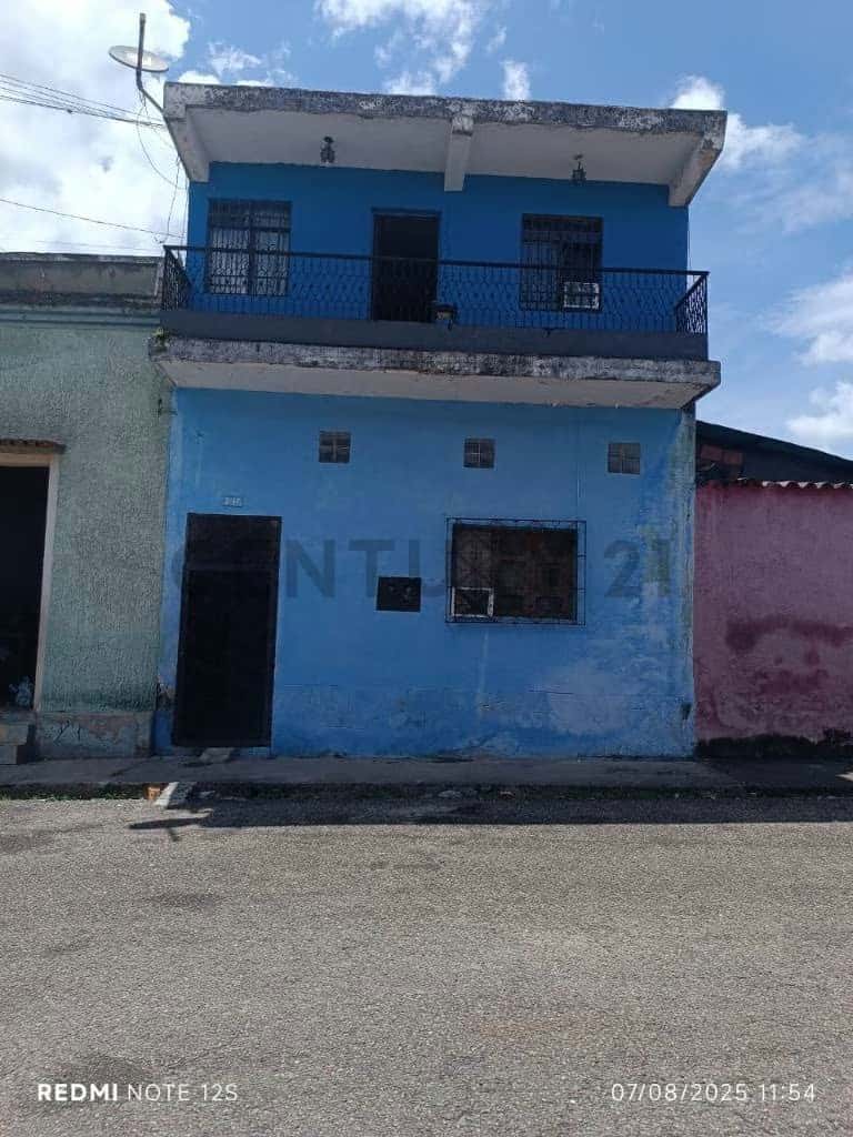 Vista 1