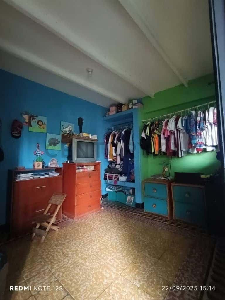Vista 15