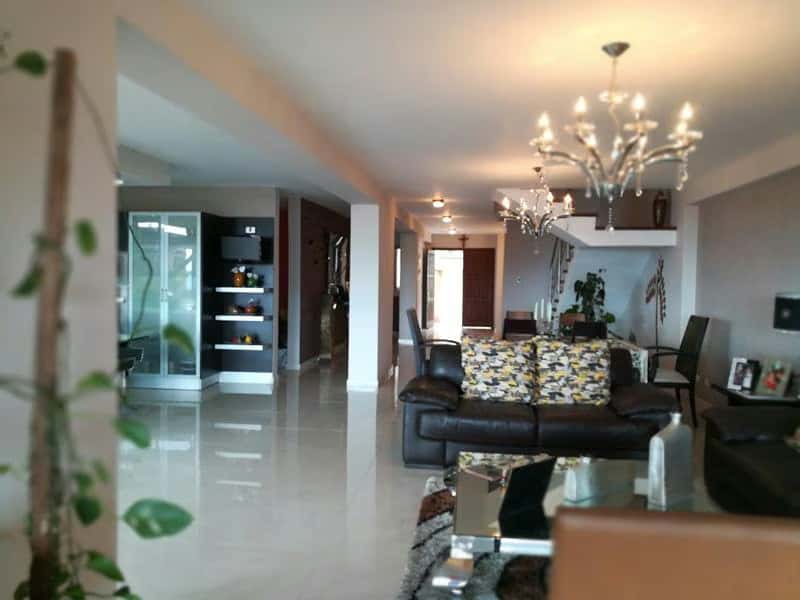 View 15