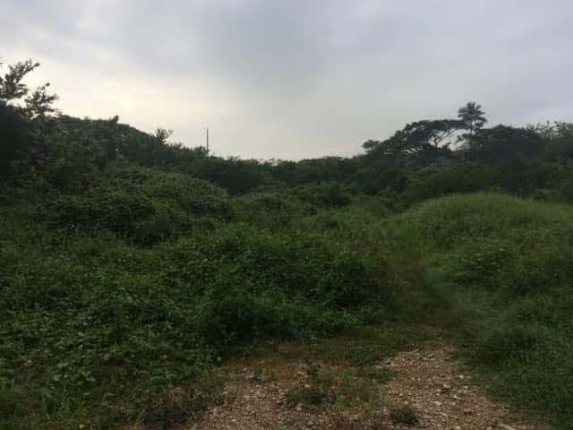 Vista 2
