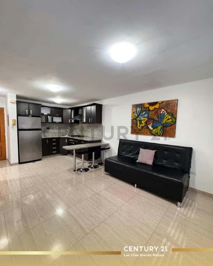 Vista 5