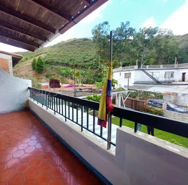 View 24