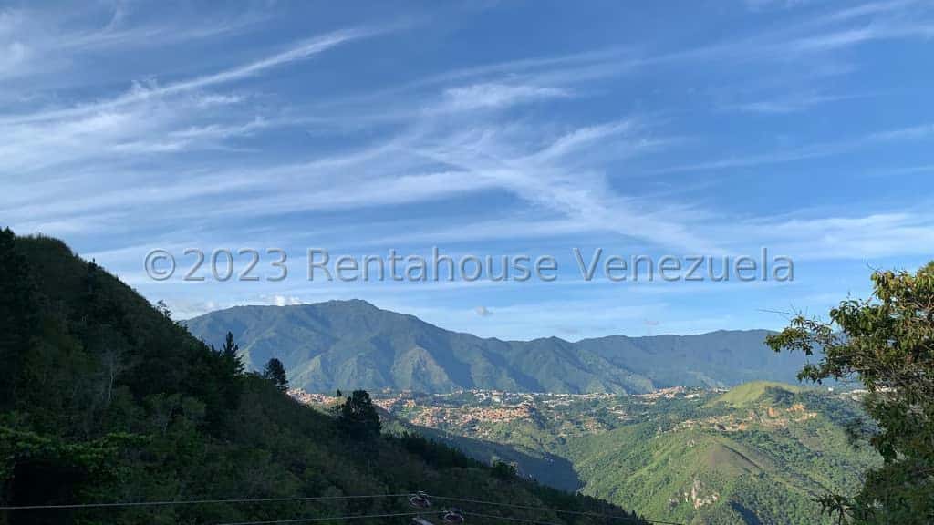 View 12