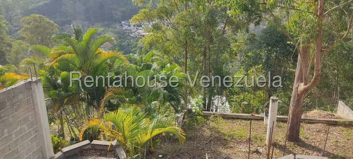 View 23