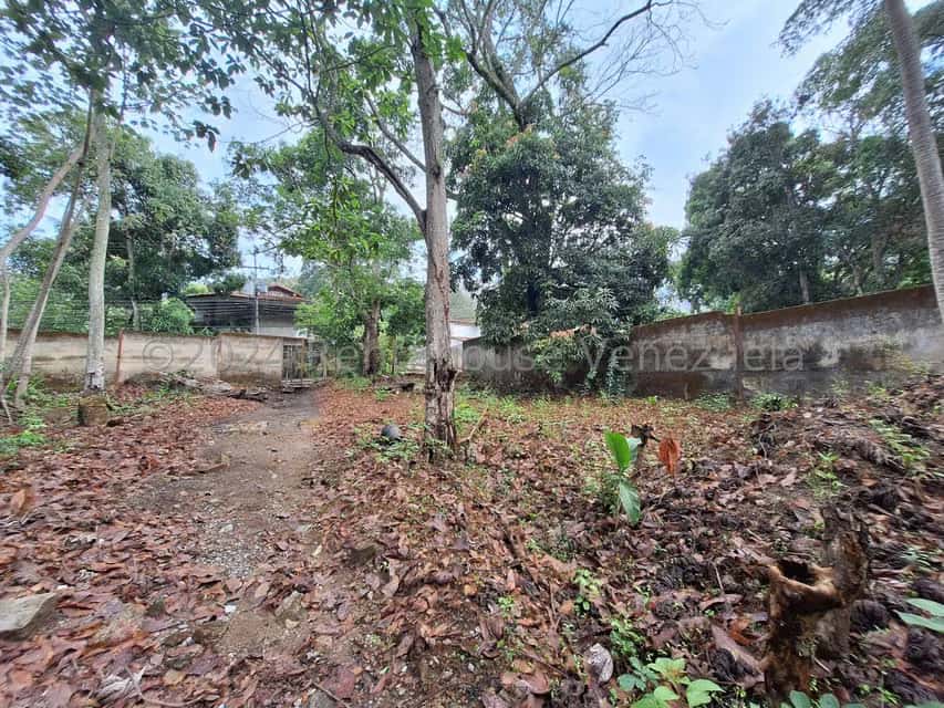 View 14