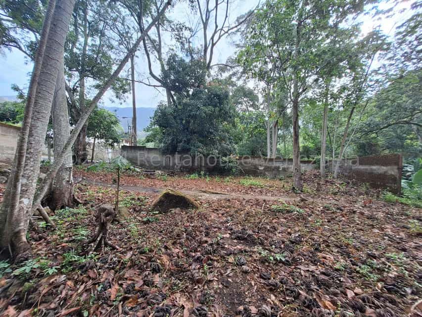 View 21