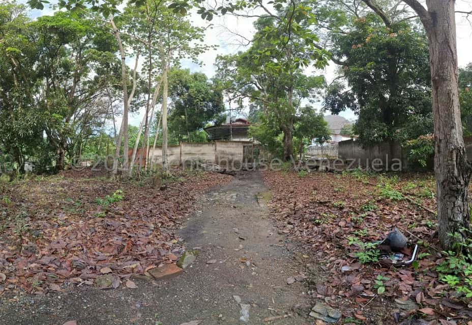 View 38