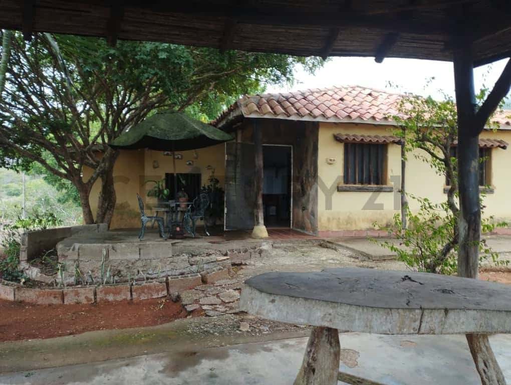 Vista 14