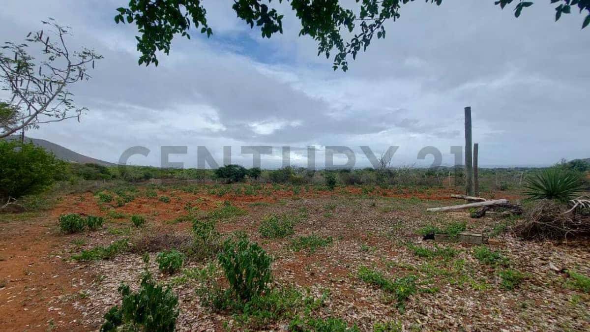Vista 28