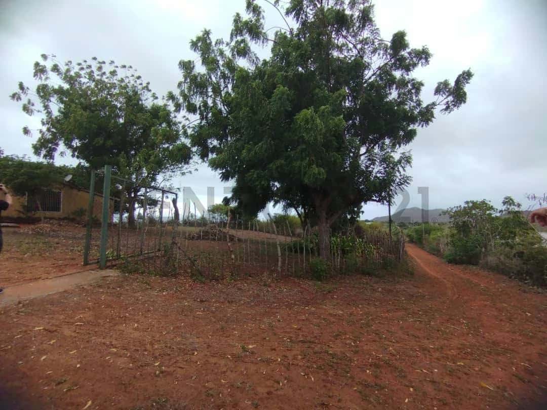 Vista 36