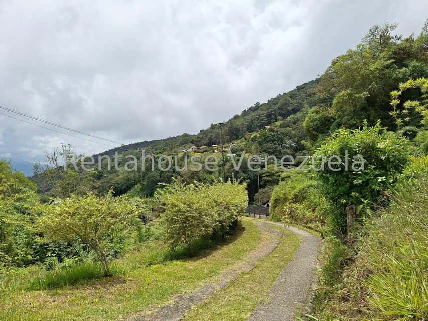Vista 2