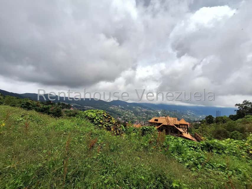 Vista 17
