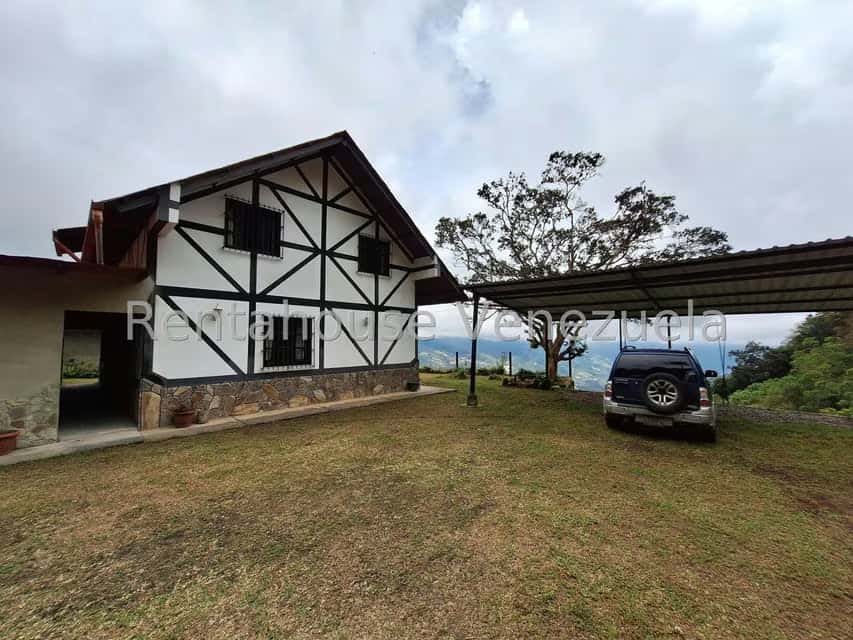 Vista 39