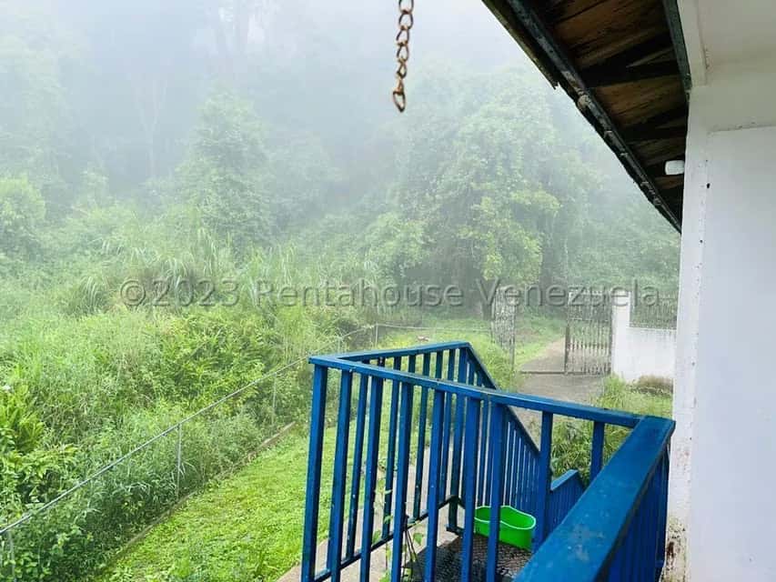 View 29