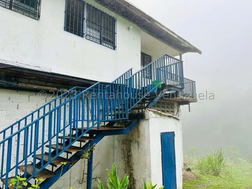 View 8