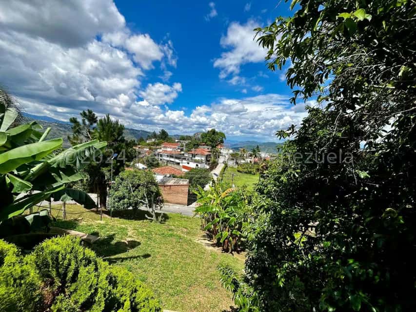 View 27