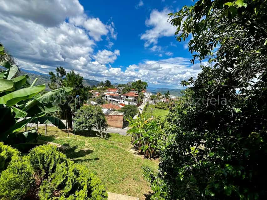 View 36