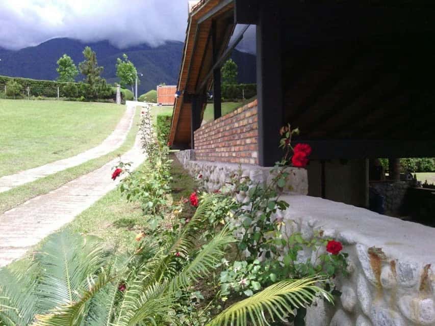 Vista 2