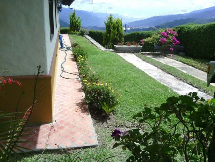 Vista 3