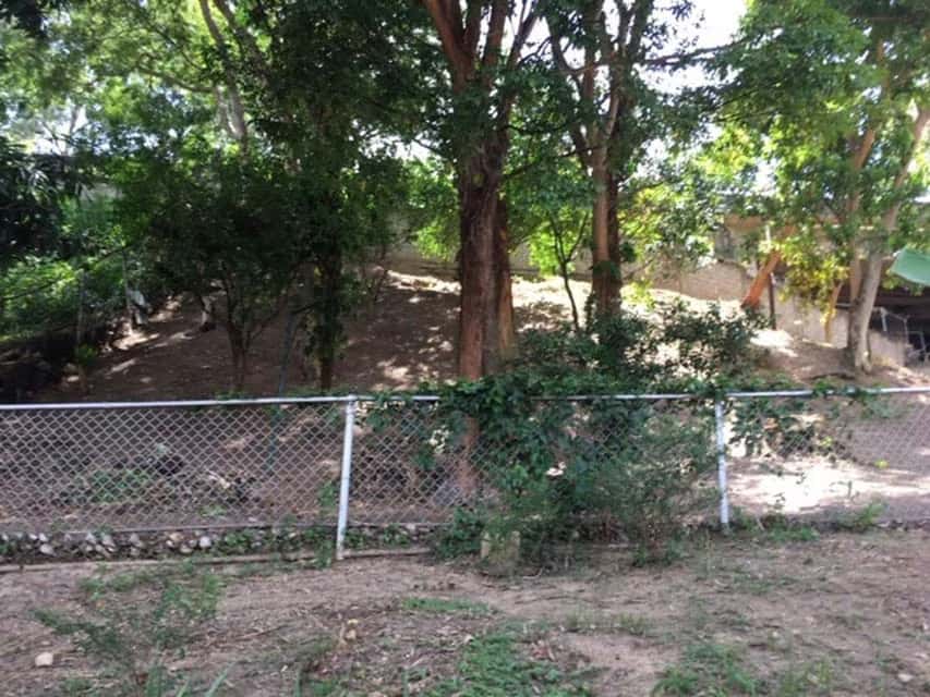 View 24