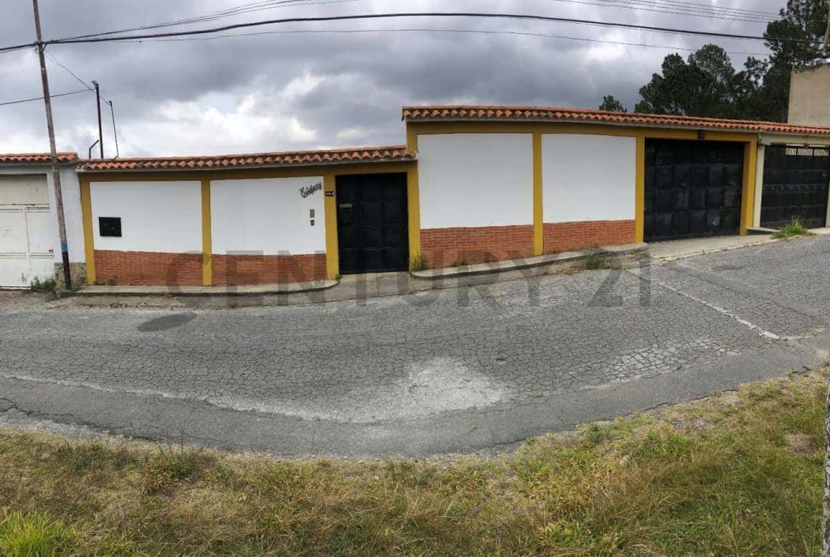 Vista 3