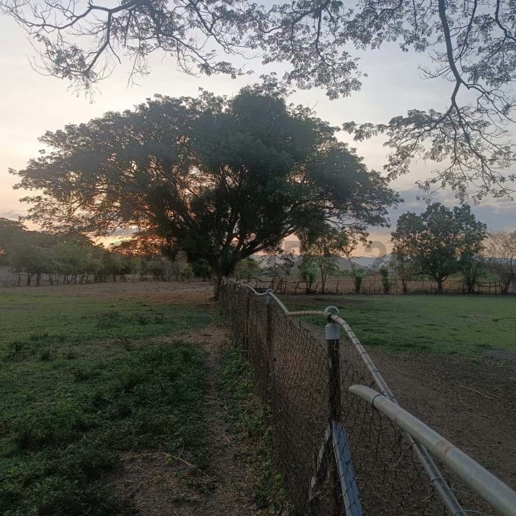 Vista 17
