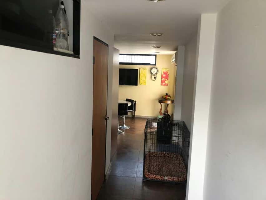 Vista 36