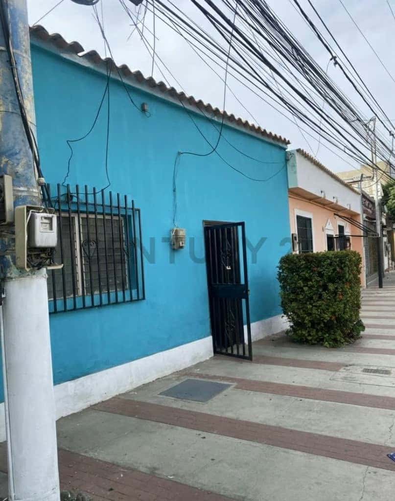 Vista 1