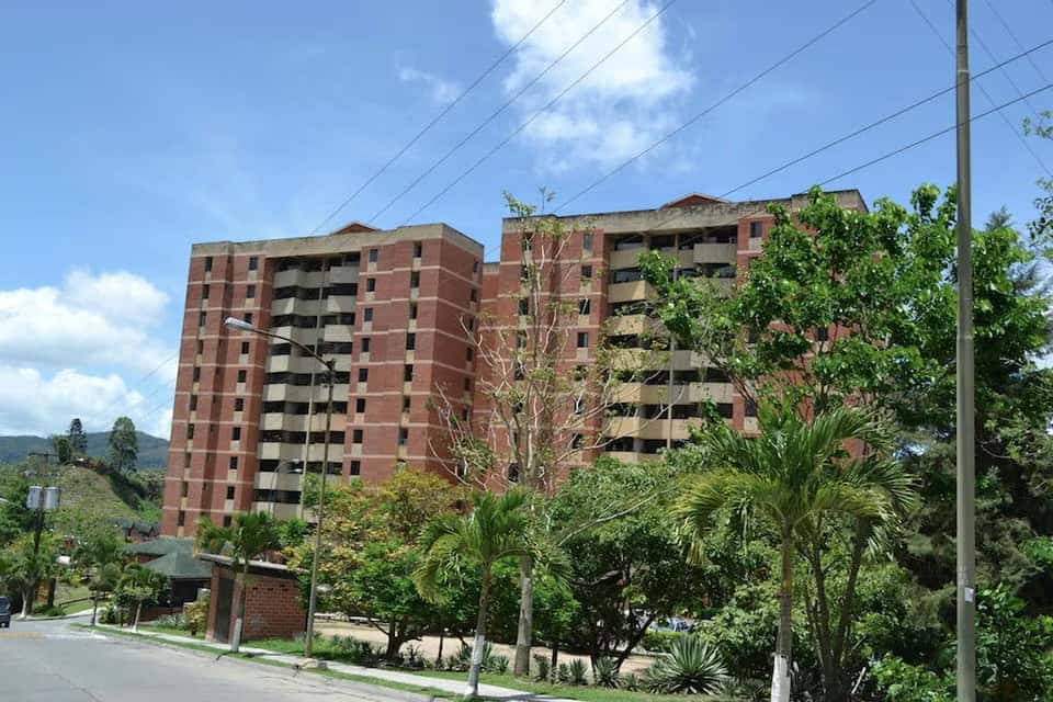 View 1