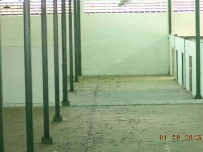 Vista 14