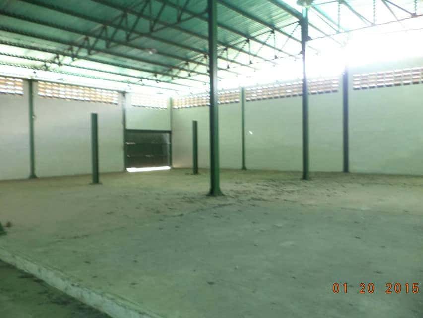 Vista 29
