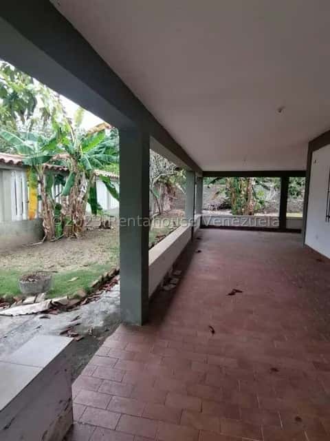 Vista 6