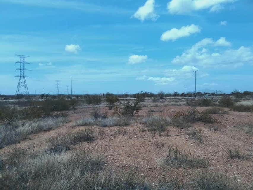 Vista 12