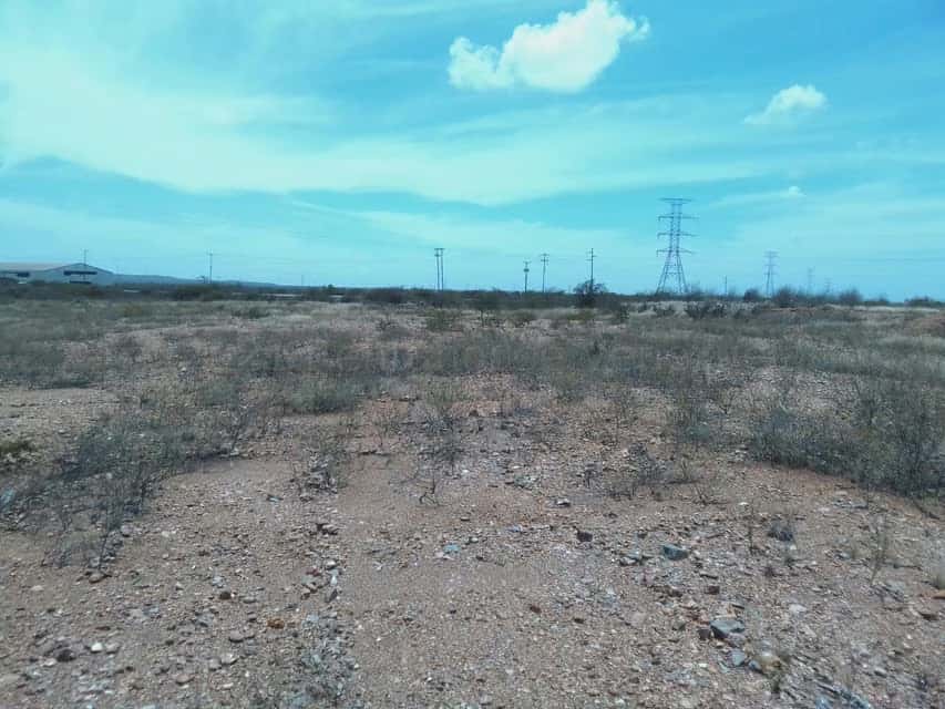 Vista 6