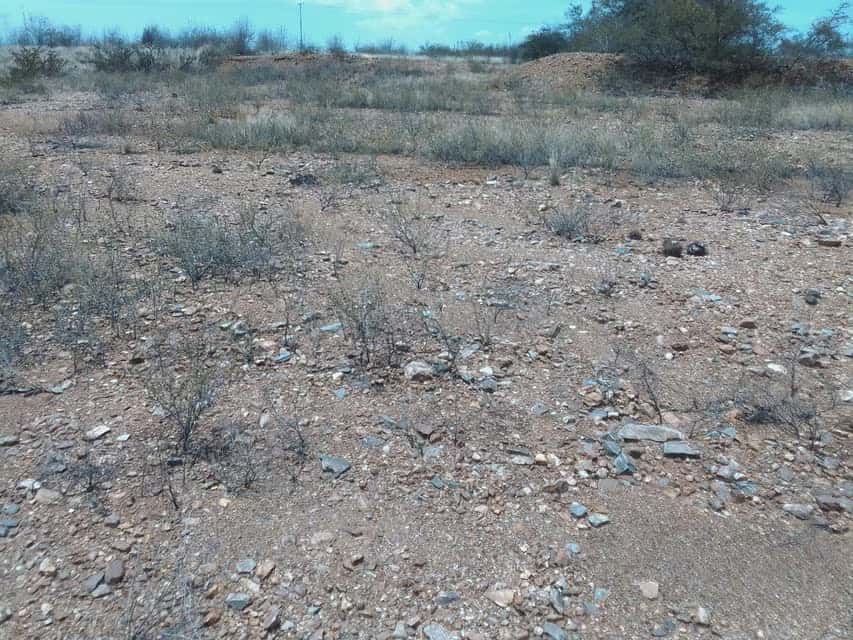 Vista 9
