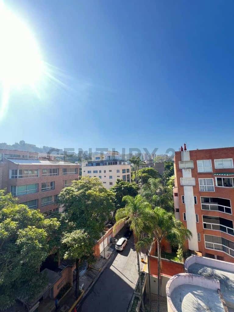 Vista 19