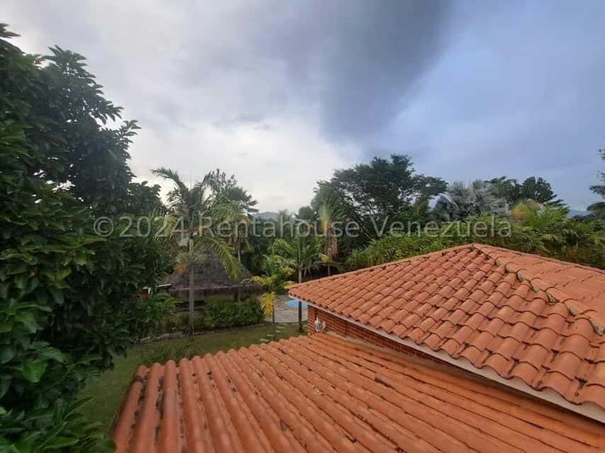 View 40