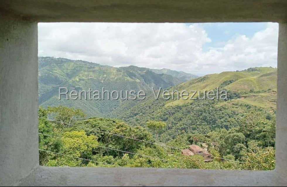 View 11