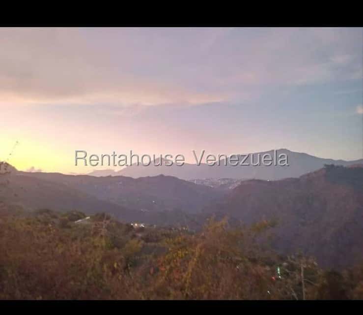 View 12