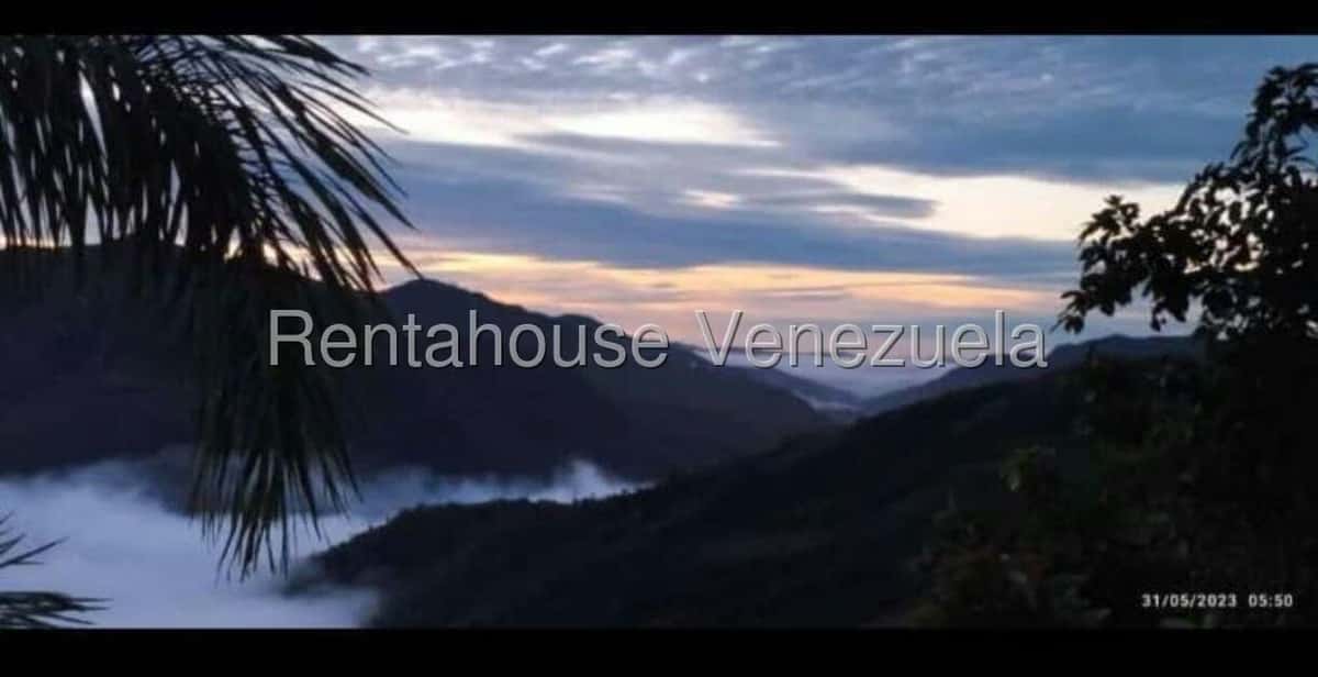 View 14