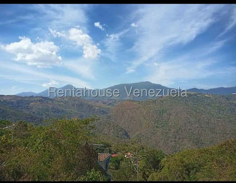 View 15