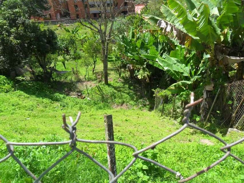 View 13