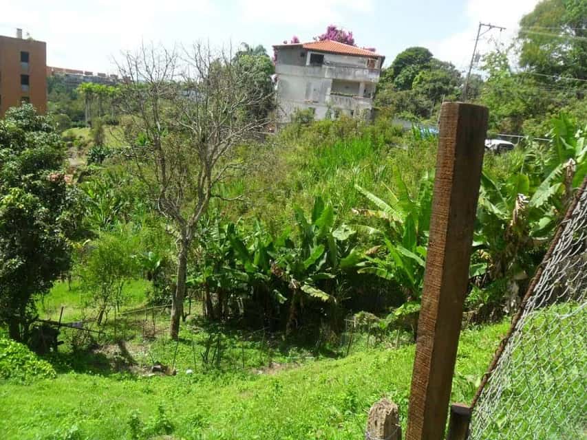 View 6